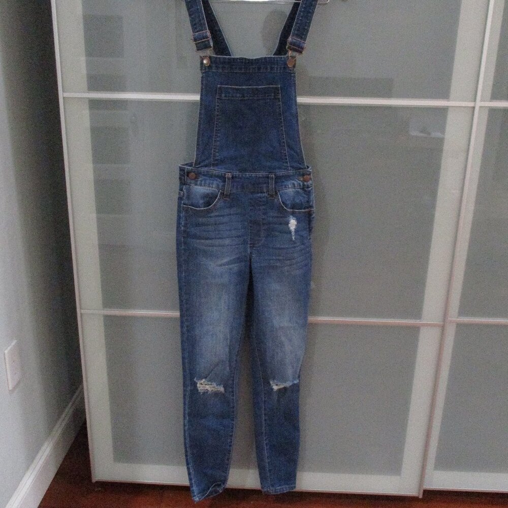 Altar'd State Bib Denim Overalls / Jumpsuit